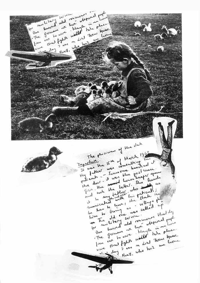 The Goose Girl at Öcsény
